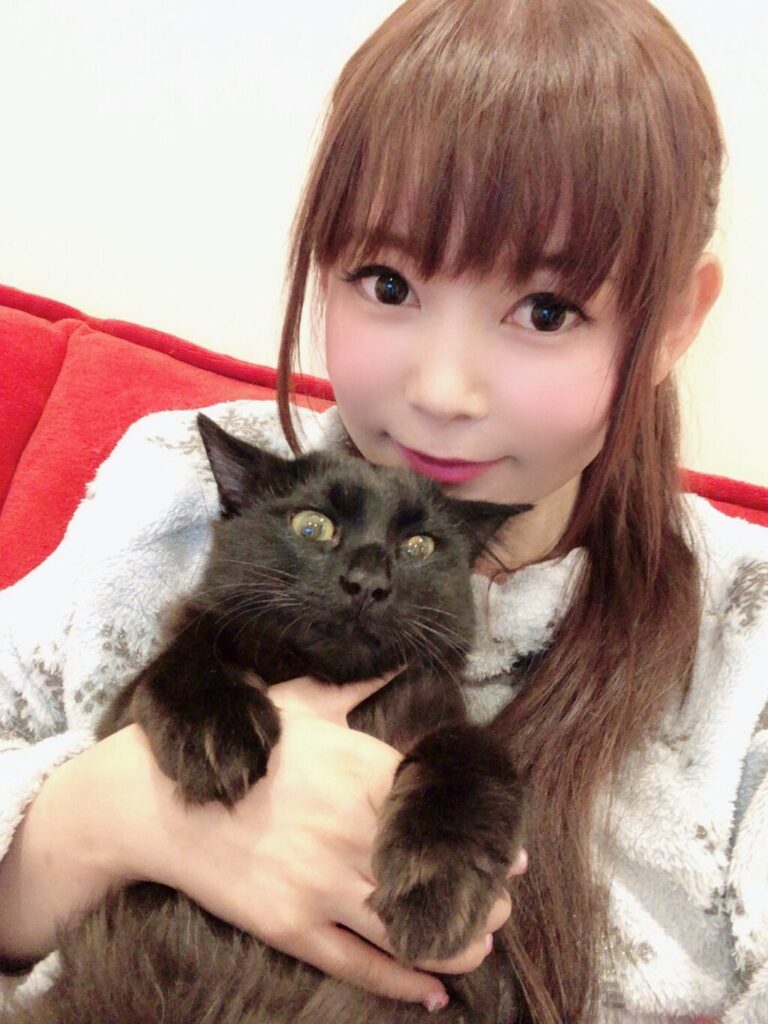 中川翔子　猫　他人猫　猫食い　保護猫