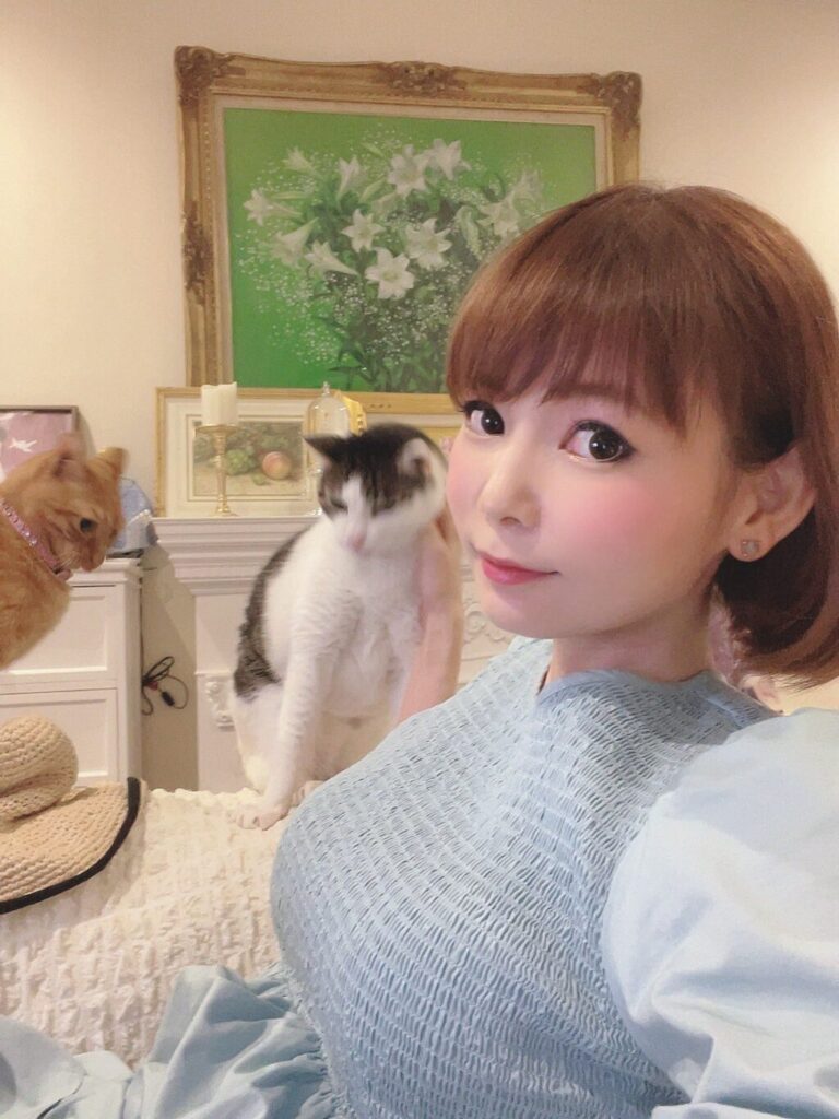 中川翔子　猫　他人猫　猫食い　何匹