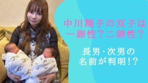 中川翔子 双子 一卵性 二卵性 名前 男の子 出産 育児